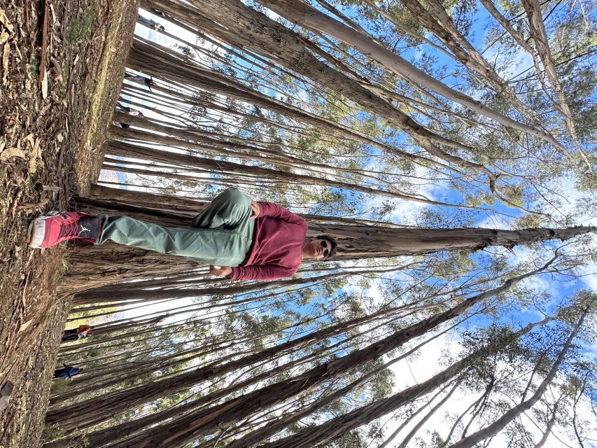 Cusco: Archeological Sites Tour and Forest Photo Experience - Activity Details