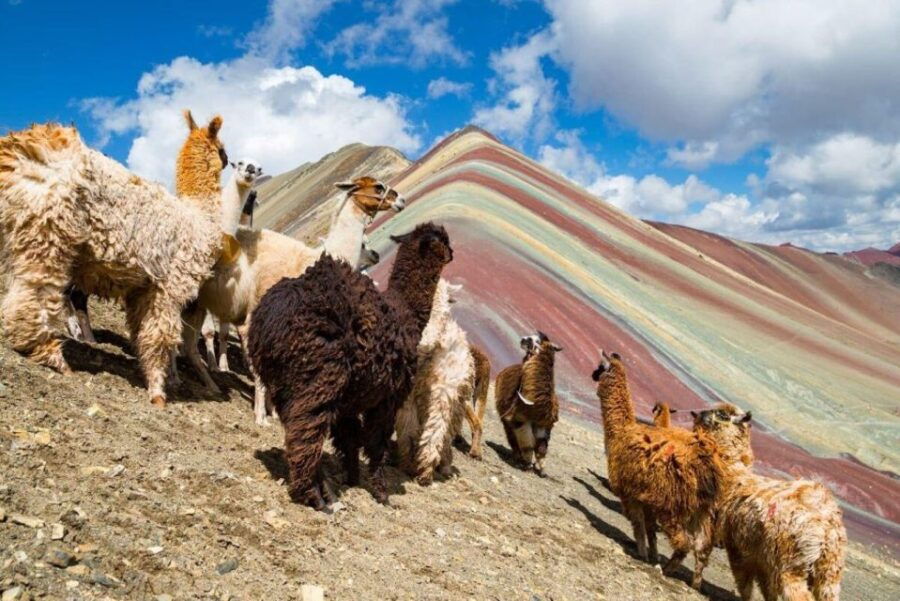 Cusco: Excursion to Rainbow Mountain Full Day - Activity Details