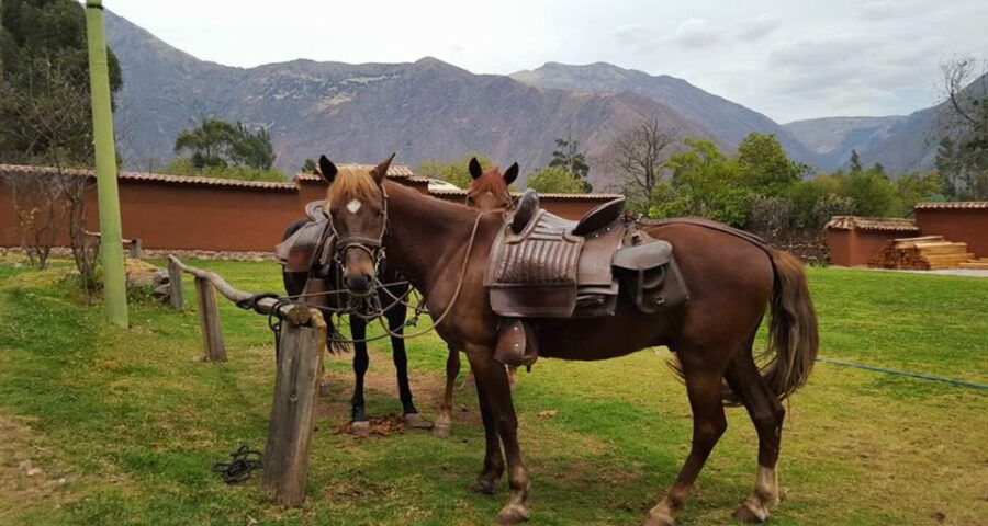 Cusco: Full-Day Horseback Riding Tour to Maras & Moray - Good To Know
