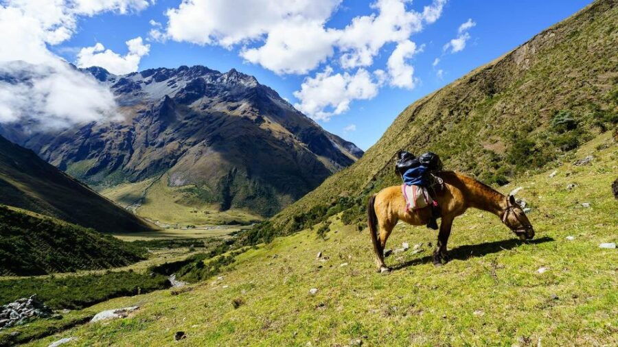 CUSCO: Humantay Lake Full Day Tour With Breakfast and Lunch - Full Description