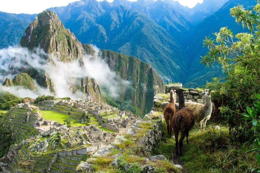 Cusco: Machu Picchu Full Day Lunch Private - Good To Know