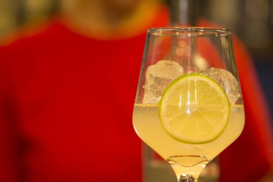 Cusco: Private Pisco Sour Tasting and Making Experience - Inclusions