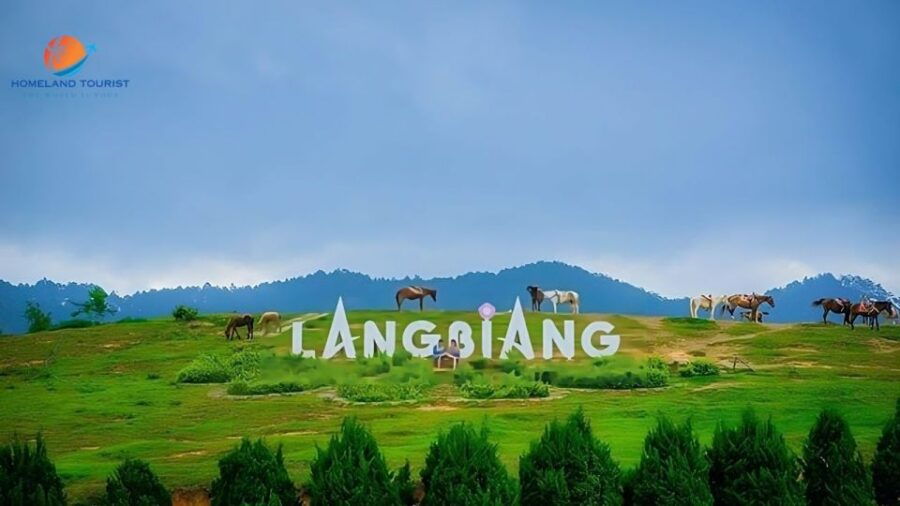 Dalat Nature Tour