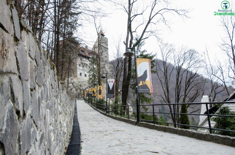 Day Trip Bran Castle, Rasnov Fortress and Bear Sanctuary