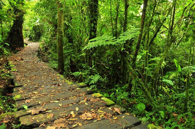 Day Trip From San Jose to Braulio Carrillo Canopy Tour - Customer Reviews