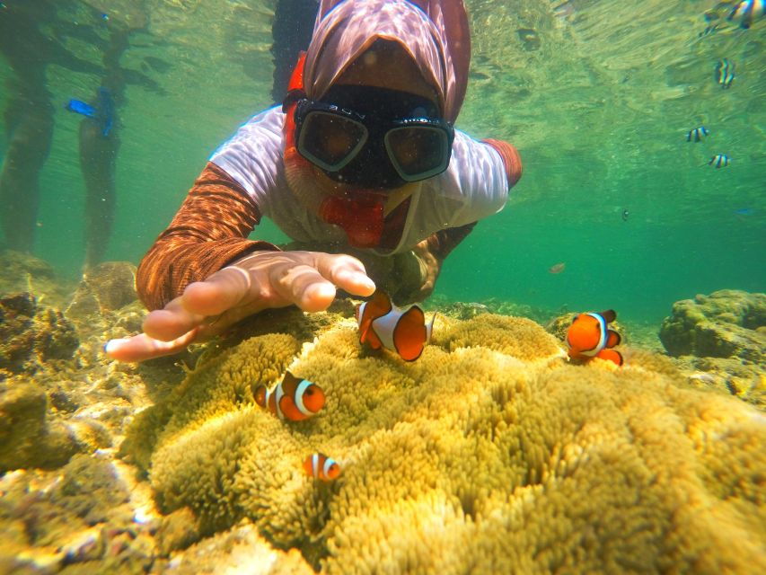 Day Trip Gili Nanggu,Kedis&Sudak With Pick Up - Island Highlights