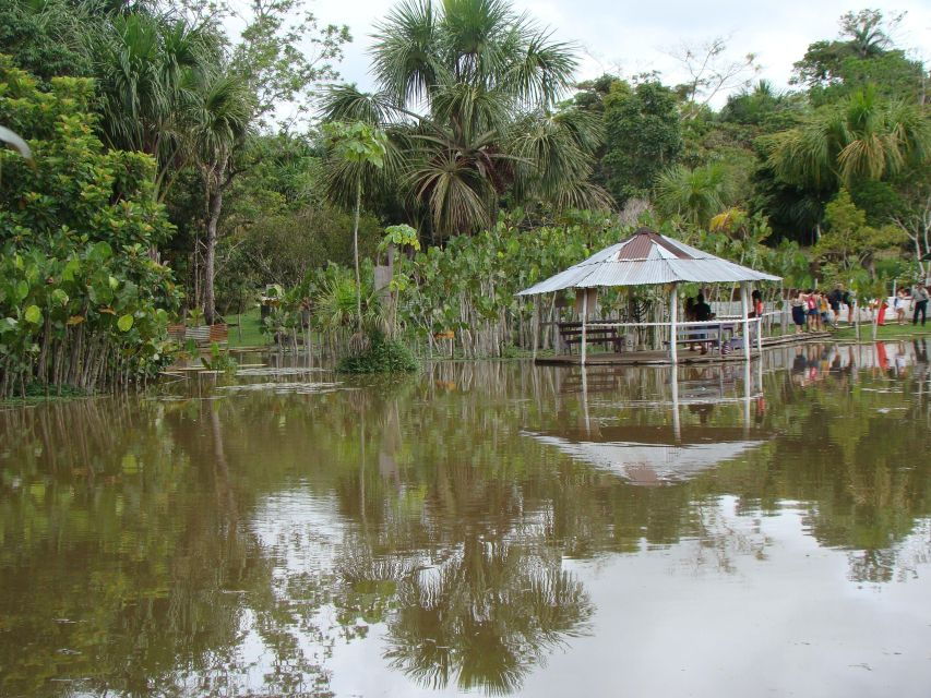 Day Trip on the Amazon River.
