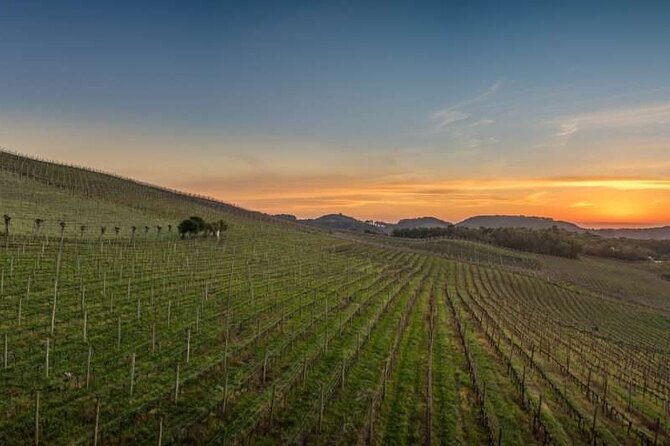 Day Trip to Gramado and Canela or to the Brazilian Wine Country