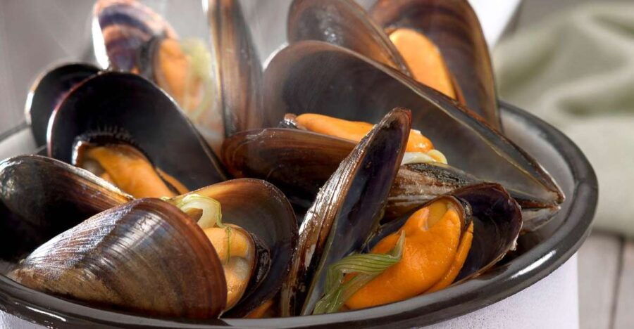 Denia: Cova Tallada Catamaran Trip W/ Mussel Tasting & Wine - Good To Know