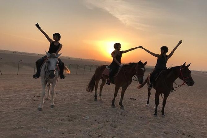 Desert Horse Riding In Dubai - Skill Levels for Horse Riding Tours