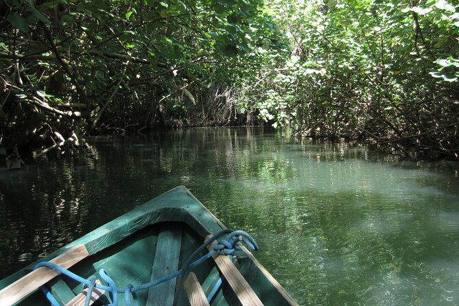 DG Tours - Full-Day Private Tour Experience - Common Questions