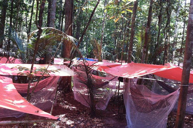 Dinner and Overnight in the Jungle in Manaus