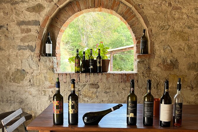 Discover Chianti Classico Wines DiWine Experience