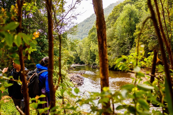 Discover Chile’s Alerce Andino National Park Adventure