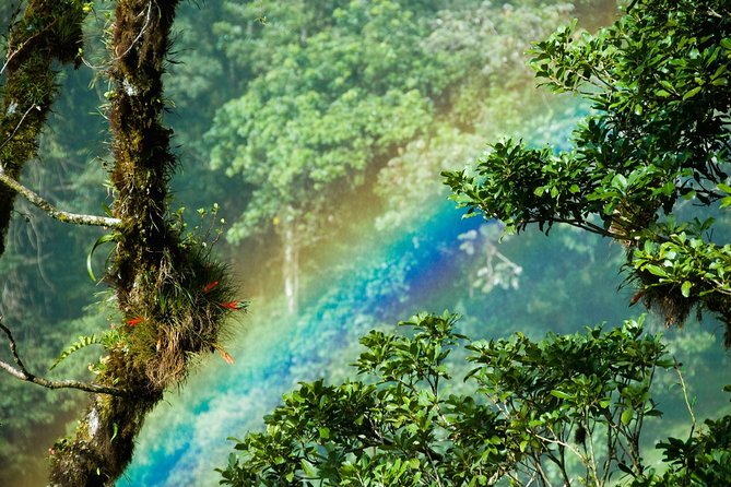 Discover Costa Rica’s Best in 12-Day Tour