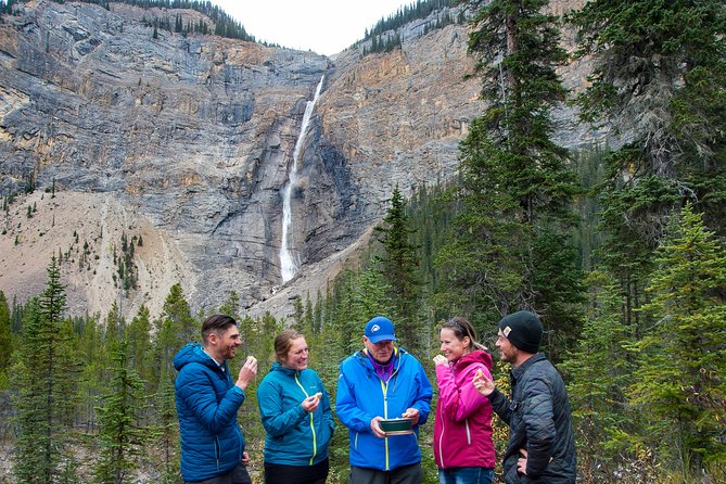 Discover Grizzly Bears From Banff - Reviews and Feedback From Previous Participants