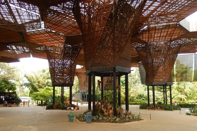 Discover Medellin's Botanical Gardens on Walking Tour