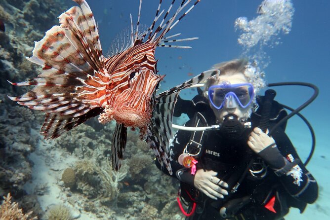 Discover Scuba Diving Adventure in Dubai - Meeting Point and Pickup Information