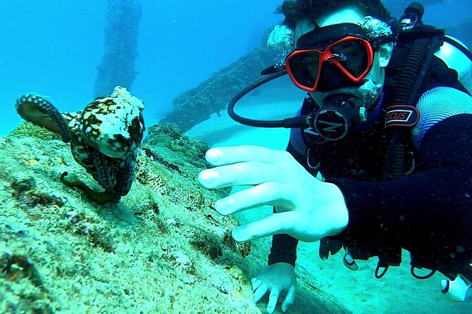 Discover Scuba Diving for Beginners in San Juan - Good To Know