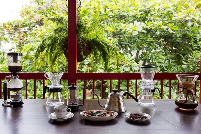 Discover the Essence of Coffee Region Tour