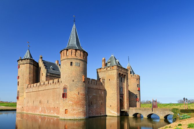 Discover The Netherlands Private Tour - Tour Inclusions and Services