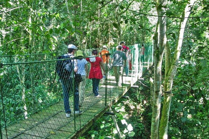 Discover the Rich History of Copan Ruinas - Good To Know