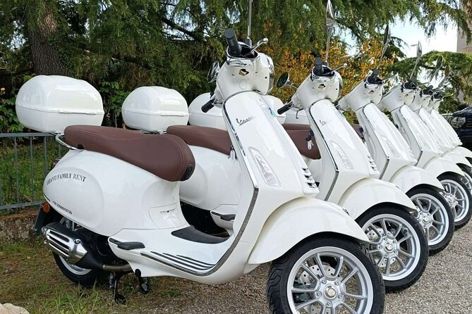 Discovering Chianti: Vespa Tour and Truffle Hunt With Dinner