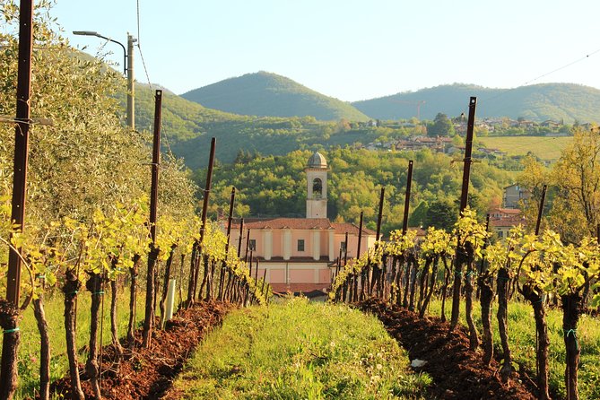 Discovering the Wines of Franciacorta - Good To Know