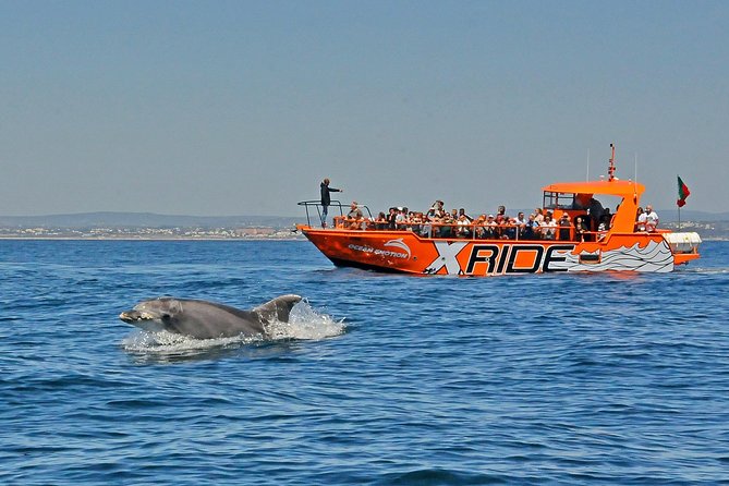 Dolphin Watching and Caves Cruise - Algarve Coast Dolphin-Watching Experience