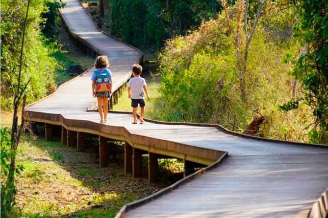 Dolphins Bay Trail: Thrilling Adventure Awaits