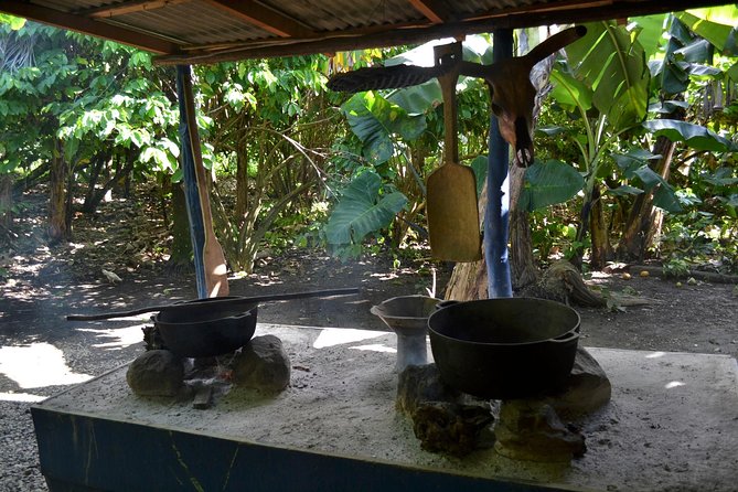 Dominican Republic Countryside Safari Tour From Punta Cana - Macao Beach Relaxation
