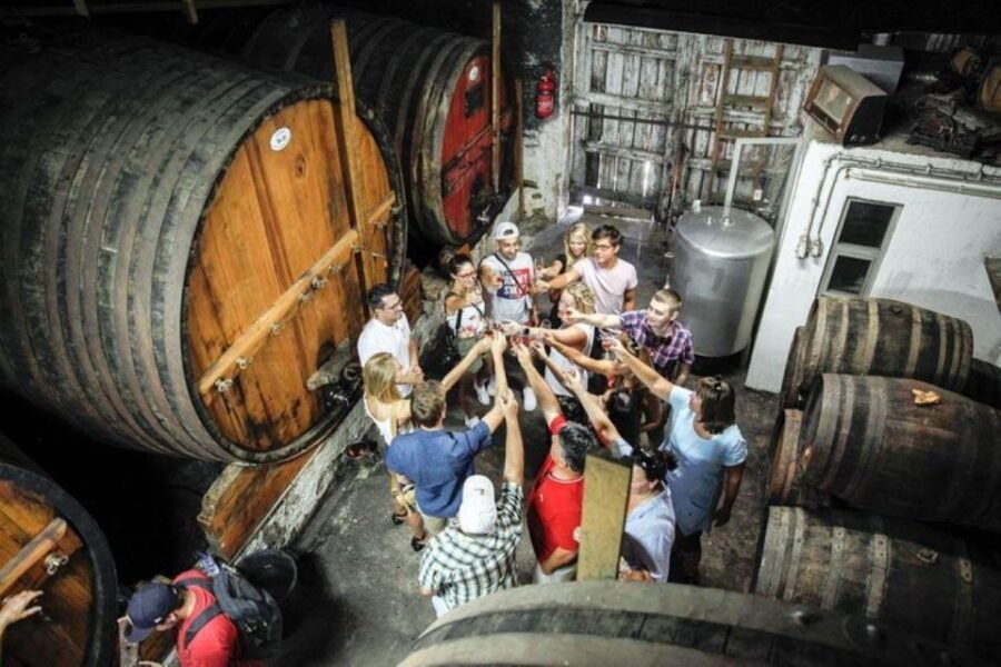 Douro: Premium Wine Tasting and Tapas Tour