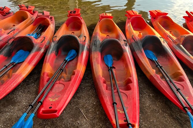 Downtown Austin Sunset Kayak Tour With 1.5 Million Bats - Cancellation Policy