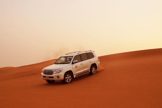 Dubai Desert Safari: BBQ, Camel Ride & Sandboarding - Good To Know