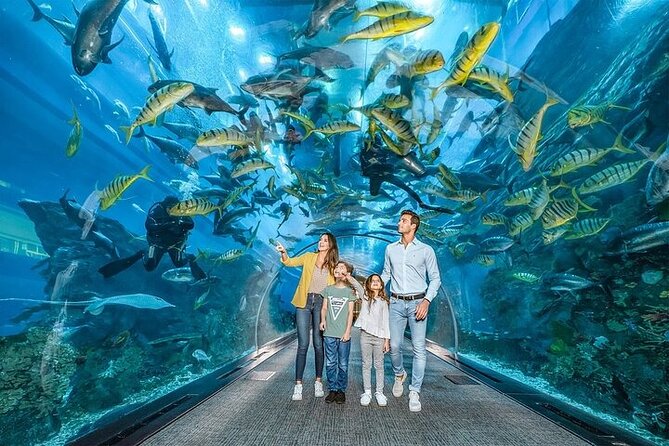Dubai Mall Aquarium and Underwater Zoo Tickets With Transfers - Pickup Points