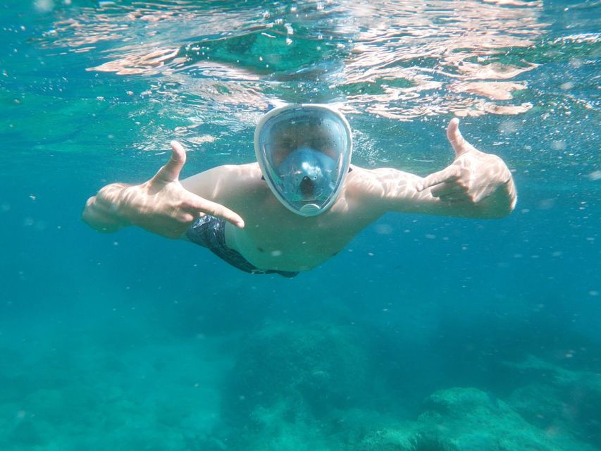 Dubrovnik: Half-Day Private Boat Trip to Elafiti Islands - Experience Highlights