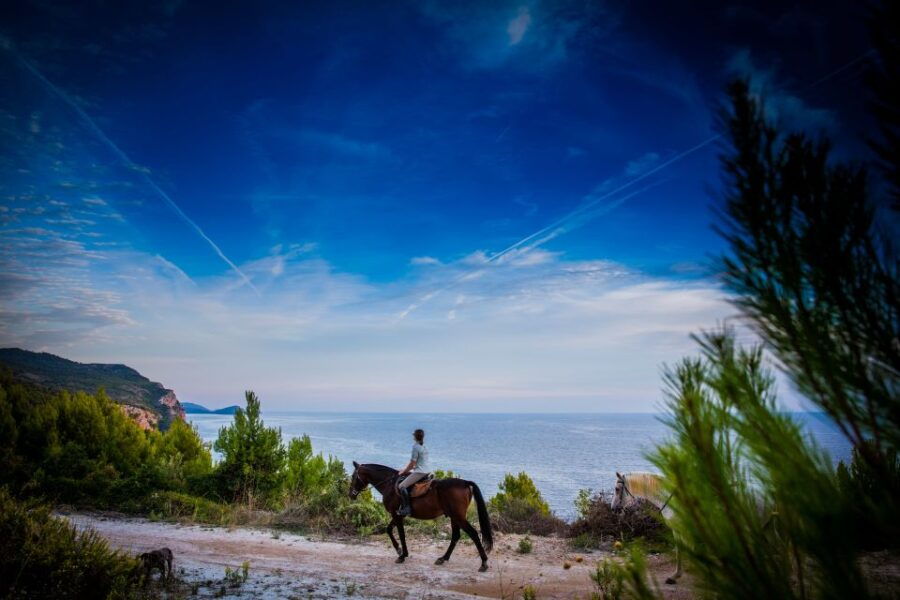 Dubrovnik Kojan Koral: Horseback Riding - Good To Know