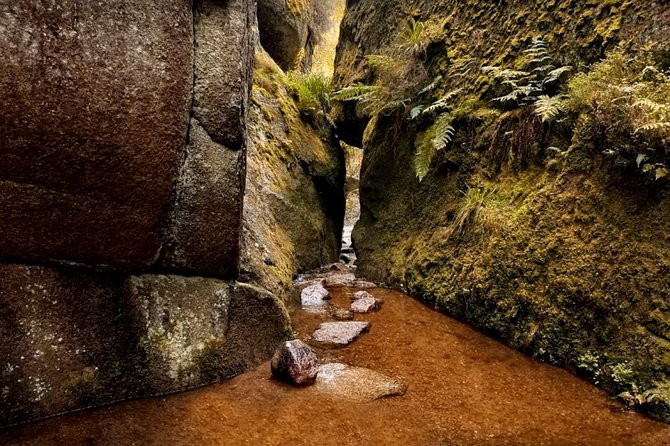 Dunnottar & Deeside Castle & Distillery Private One Day Tour & Photo Workshop - Inclusions