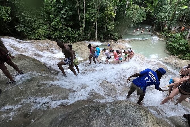 Dunns River Falls With Private Transportation From Montego Bay