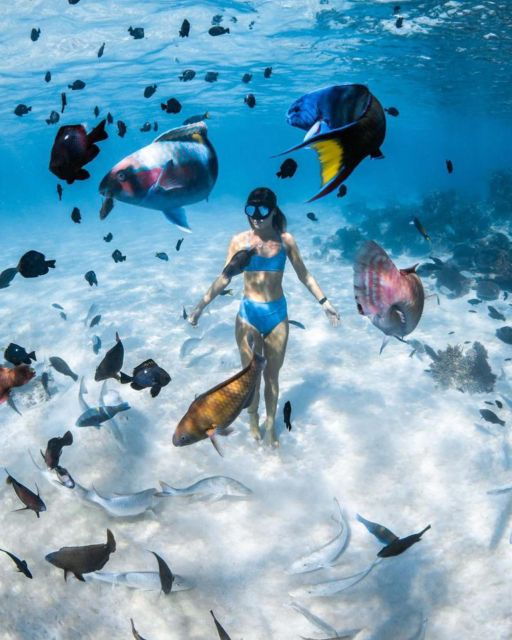 East Bali : Blue Lagoon Snorkeling All Inclusive - Good To Know