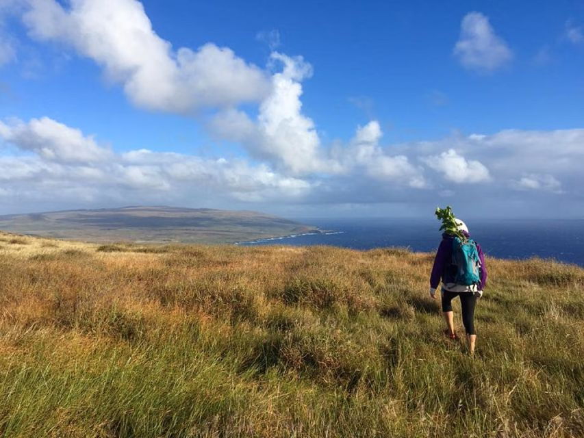 Easter Island: Poike Volcano Private Hiking Tour With Guide