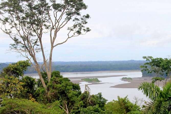 Ecuadorian Amazon Private 2-Day Tour: Ila Kucha and Yasuniland  – Quito