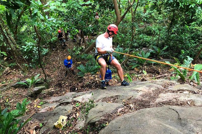 El Yunque National Forest Ziplining Experience  - Luquillo - Inclusions and Exclusions