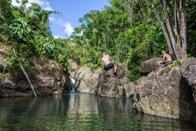 El Yunque Rainforest and Bio Bay Kayaking Combo Tour - Tour Details and Inclusions