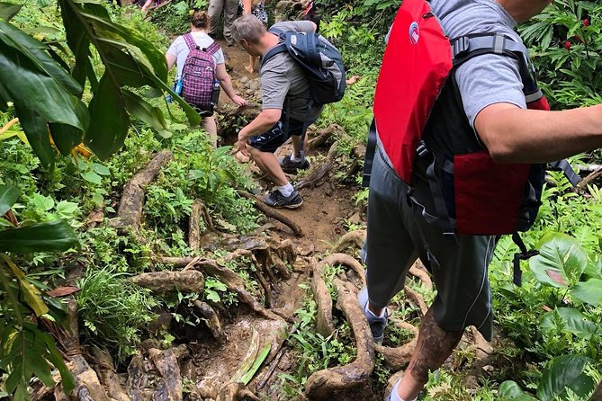 El Yunque Rainforest Tour From San Juan - Testimonials and Overall Experience