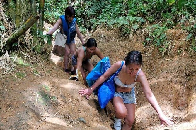 El Yunque Rainforest - Waterslide, Cliff Jump, and Rope Swing! - Recommended Fitness Level