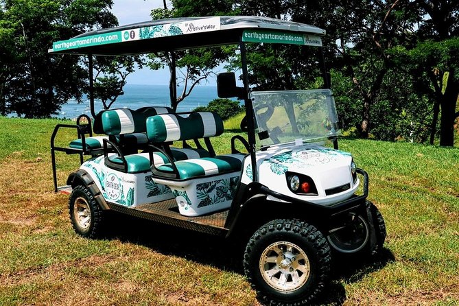 Electric Golf Cart Rental Sparks Eco-Friendly Fun