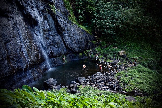 Enjoy Moorea Private Day Tour - Traveler Reviews