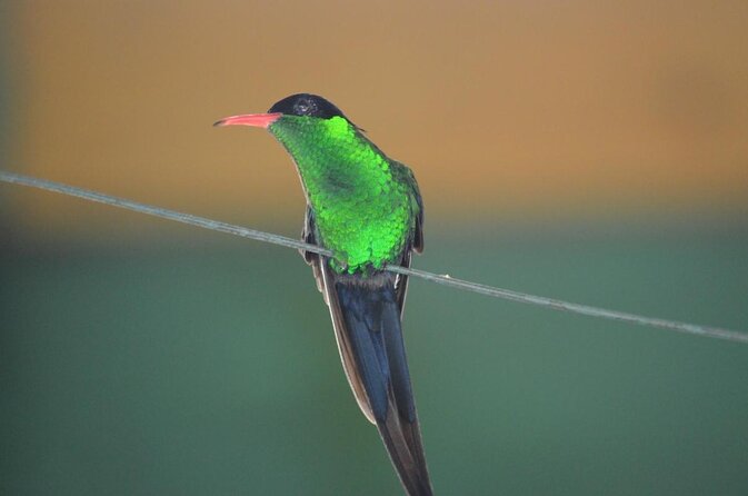 Enjoy Rockland Bird Sancutary