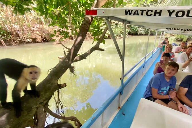Enthralling Jaco Rainforest Tour With Chocolate Delights - Good To Know